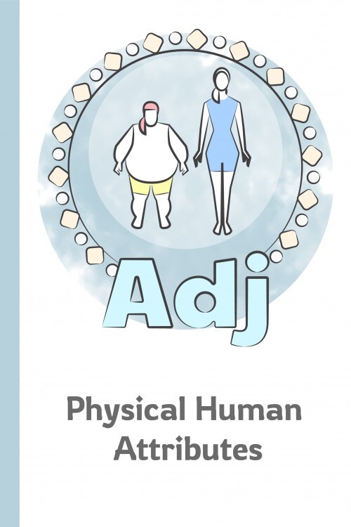 Adjectives of Physical Human Attributes